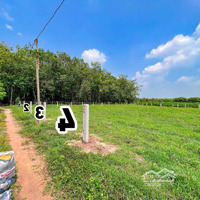 5X40M Full Thổ Cư. Sổ Hồng Riêng. Đường Xe Hơi. 2Xxtr