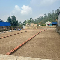 Mở Bán 21 Lô Đất Tại Đường 352, Liên Xuân, Thủy Nguyên, Hải Phòng, 385 Triệu, 70 M2 Full Thổ Cư
