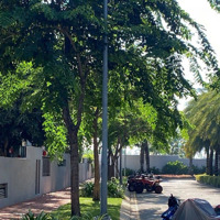 Bán Biệt Thự Đơn Lập Góc Sân Vườn 720M2 Riviera Cove Liên Phường, Q9