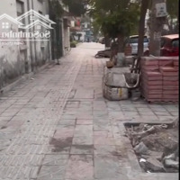 Cho Thuê Lô Đất 300M2 Có Sẵn Nhà 2 Tầng Tại Trần Quang Khải - Hồng Bàng - Hải Phòng Chỉ 60 Triệu/Tháng