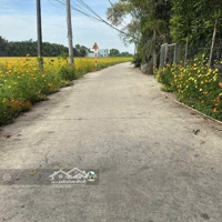Đất Nền Mỹ Yên, Bến Lức, Long An, Cách Ubnd Mỹ Yên Và Ql1A Khoảng 700M, 530 Triệu/140M2, Shr, Full Thổ