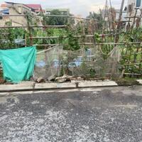 Bán lô đất Đa Tốn, đường trải nhựa ô tô vào nhà, nhỉnh 3 tỷ chút. LH: 0379483926