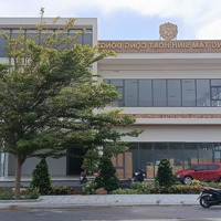 Ngợp Tài Chính Bán Gấp Paragrus Bãi Dài - 120M² - Đường 20M, Chỉ 21 Triệu/M² - Sở Hữu Lâu Dài