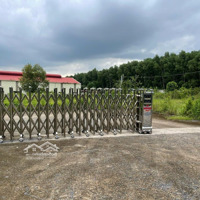 Bán Kho, Nhà Xưởng Đẹp Tại Đường 769, Xã Lộc An, 90 Tỷ, 195000M2
