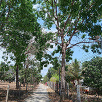 Bán Đất Tại Xã Thiện Nghiệp, 2,8 Tỷ, 2000 M2 View Đẹp Giá Cực Rẻ