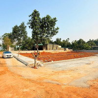 Bán Đất Thổ Cư 120M2 Tại Tỉnh Lộ 515C, Thọ Tân, Triệu Sơn, Thanh Hóa Giá Ưu Đãi 290 Triệu
