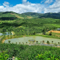 Bán Khu Nghỉ Dưỡng Tuyệt Đẹp Tại Bảo Lộc