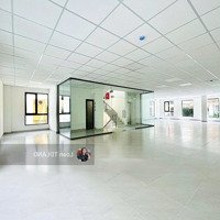 Cho Thuê Toà Nhà Văn Phòng Dtsd 1127M2 Quận 1