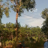 Cần Bán Lô Đất Mặt Tiền Quốc Lộ 56, Xã Bình Ba, Huyện Châu Đức, Brvt. Diện Tích: .3740M2 Có 300M2 Thổ Cư