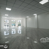 Duy Nhất Một Căn Ngang 8M Ngay Trần Hưng Đạo, Quận 1. 8Mx20M - Xd Hầm 7T - Hđt 300 Triệuiệu. Giá Bán 65 Tỷ