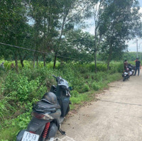Bán Ba Lô Đất Mới Tách Thửa Thuộc Lai Uyên 67 Lai Uyên, Bàu Bàng, Bình Dương
