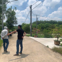 Bán Ba Lô Đất Mới Tách Thửa Thuộc Lai Uyên 67 Lai Uyên, Bàu Bàng, Bình Dương