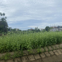 Bán Lô 208M2 Đất View Mương, Cánh Đồng Lúa Gần Chợ Tt Nam Phước Giá Siêu Rẻ 590 Triệu: 0936325884
