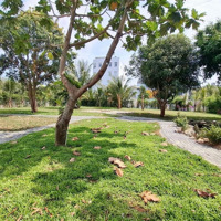 Nam Việt Á Villa 3 Mặt Tiền, 11 Phòng Ngủ 464M2 Đất Sổ, Sân Vườn 1600M2, Chỉ 50 Tỷ Dương Tử Giang.