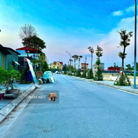 Bán Đất Tại Thụy Lâm, Đông Anh, Hà Nội, 7,4 Tỷ, 87,8 M2, Chính Chủ, Uy Tín