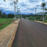 Mua Ngay Kẻo Hết Đất Chính Chủ View Đồi Chè Chỉ 39 Nền Duy Nhất Giá Cực Mềm