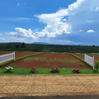 Mua Ngay Kẻo Hết Đất Chính Chủ View Đồi Chè Chỉ 39 Nền Duy Nhất Giá Cực Mềm