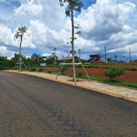 Mua Ngay Kẻo Hết Đất Chính Chủ View Đồi Chè Chỉ 39 Nền Duy Nhất Giá Cực Mềm