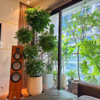 Bán Căn Đập Thông 136M2 3 Ngủ Toà A Hướng Đông Nam Dự Án Imperia Garden Nguyễn Huy Tưởng