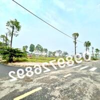 Đấu giá rẻ nhất mê linh- 3,x tỷ- 0989726892