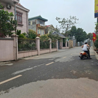 240M Trục Chính Mai Nội,Mai Đình, Sóc Sơn, Hà Nội