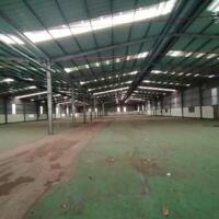 Cho Thuê Xưởng Sản Xuất 4.000m² Tại Bến Cát – Phù Hợp Ngành Cơ Khí, May Mặc, Nhựa. Liên hệ: Chothuexuongmiennam.com - 0366632092