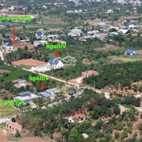 Đất Ven Đà Lạt 599 Triệu Sổ Hồng Riêng 120M² Sẵn Thổ Cư