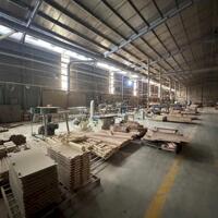 CHO THUÊ XƯỞNG 10.500M² AN TÂY – BẾN CÁT, BÌNH DƯƠNG – CHUYÊN SẢN XUẤT GỖ NỘI THẤT – GIÁ CHỈ 2 USD/M². Liên hệ: Chothuexuongmiennam.com - 0366632092
