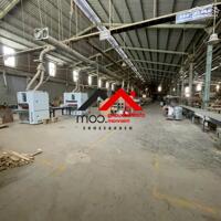 CHO THUÊ XƯỞNG 4.800M² THUẬN AN – BÌNH DƯƠNG | CÓ HỆ THỐNG HÚT BỤI – PCCC – ĐƯỜNG XE CÔNG. Liên hệ: Chothuexuongmiennam.com - 0366632092