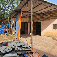 Bán Đất Lô Góc Siêu Phẩm Tại Đông La Hoài Đức Sát Vành Đai 4Diện Tích240M X Nhà C4 Xmặt Tiền15M Giá Hơn 3 Tỷ