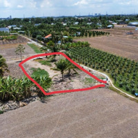 Đất Ở 1.400M2 Hẻm Ấp 8, Nhựt Chánh, Bến Lức, Long An. Không Quy Hoạch, Đường Ô Tô. Nội Dung: