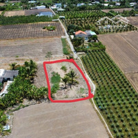 Đất Ở 1.400M2 Hẻm Ấp 8, Nhựt Chánh, Bến Lức, Long An. Không Quy Hoạch, Đường Ô Tô. Nội Dung: