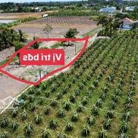Đất Ở 1.400M2 Hẻm Ấp 8, Nhựt Chánh, Bến Lức, Long An. Không Quy Hoạch, Đường Ô Tô. Nội Dung: