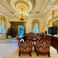 Biệt Thự Đẳng Cấp 330M2 - Hồ Bơi - Thang Máy - Ngay Trung Tâm Tân Bình - Chỉ 67.9 Tỷ