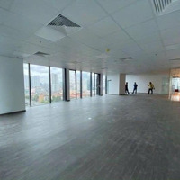 Văn Phòng Giá Rẻ Quận 3 Đường Nam Kỳ Khởi Nghĩa, 50M - 500M, Giá Hấp Dẫn Nhất