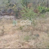 Chính Chủ Bán Đất Cam Ranhdiện Tích2000M2 Giá Rẻ Phù Hợp Đầu Tư Làm Trang Trại Nghỉ Dưỡng Nhà Vườn