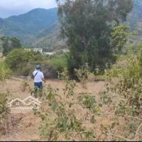 Chính Chủ Bán Đất Cam Ranhdiện Tích2000M2 Giá Rẻ Phù Hợp Đầu Tư Làm Trang Trại Nghỉ Dưỡng Nhà Vườn
