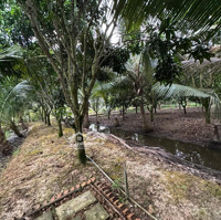 Bán Nhà Vườn Nghỉ Dưỡng Cuối Tuần 17.000M2 Bình Thành, Đức Huệ, Long An