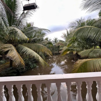 Bán Nhà Vườn Nghỉ Dưỡng Cuối Tuần 17.000M2 Bình Thành, Đức Huệ, Long An