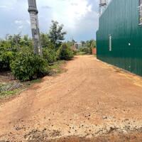 Đất TC 18*13,5m,hẻm Đg A1,Phạm Ngũ Lão thôn 6,nhiều lô khác