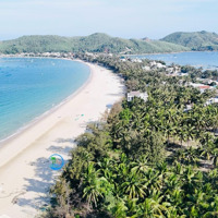 1200Mv Thổ Cư Biển Vinh Hoà Cách Biển Chỉ 30M Đương To Rông 7M 2 Diện Đường