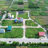 Bán 80M Đấu Giá X2 Sơn Du Nguyên Khê Đông Anh Hà Nội