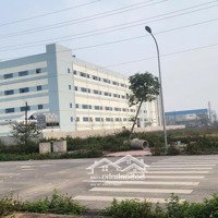 Bán Đất Nền Dự Án Tại Đường Số 277, Xã Dũng Liệt, Yên Phong, Bắc Ninh, 13 Tỷ, 240M2, Giá Ưu Đãi