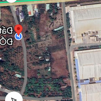 Kẹt Tiền Bán Nhanh Lô Đất 1078M2 Bình Giã, Thị Trấn Ngãi Giao, Bà Rịa Vũng Tàu
