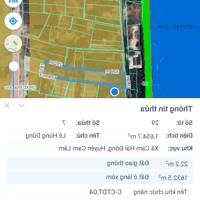Bán gấp đất Thủy Triều 20 triệu/m2, 1654m2, Cam Hải Đông, Cam Lâm, Khánh Hòa