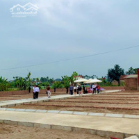 Bán Đất Nền An Lão - Hải Phòng. 1 Lô Duy Nhất Giá Chỉ 650 Triệuiệu - 60M2, Đường Rộng 4M Liên Hệ Ngay