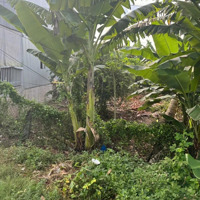 Chủ Gỡi ( 202M2 ) Đất Thổ Cư Thuộc Xã Phú Thuận H Thoại Sơn An Giang.