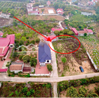 Chính Chủ Bán 1 Lô Cắt Lỗ 362.5M2 Giá Chỉ 680 Triệu Chu Diện, Lục Nam. Dân Cư Đông Đúc. Liên Hệ: 0395671368