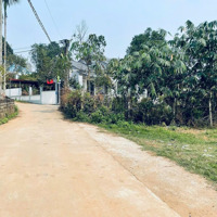 Chính Chủ Cần Bán Lô Đất Tại Yên Bài Ba Vì Hà Nội