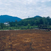 Chính Chủ Cần Bán Lô Đất Tại Yên Bài Ba Vì Hà Nội